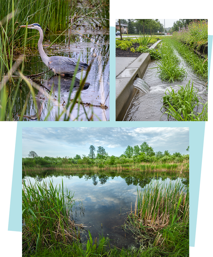 Collection of images showing the various drainage solutions the proposals aim to deliver